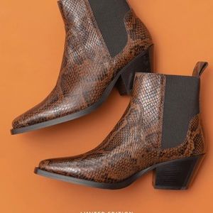 NIB Everlane Western Boot 8 with added heel plates, rare Snake pattern, gorgeous